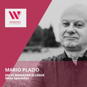 mario plazio docente